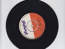 UPSETTER/I'LL BE WAITING  -  THE TERMITES   (69 SKINHEAD 7