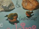 THE ROBINS-R'n'R With The Robins- LP/OBSCURE WHIPPET LB/OVERALL NICE