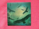 CACTUS BLACK Circles In The Sand / Ramblin' Man (Hank) Grimtale only 90 pressed