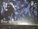 Desaster Divine Blasphemy Vinyl