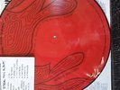 system of a down : steal this album/ doppel picture disc