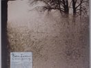 BON IVER: Emma Forever Ago SEALED Vinyl LP rare 2008
