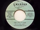 SKY'S THE LIMIT*THEY CALL IT LOVE/S.T.L.B.*MARJON label MJ-549*USA