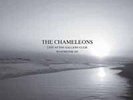 The Chameleons - Live At The Gallery Club 1982(Limited 2 x Grey Vinyl) Pre-order