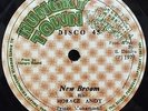 HORACE ANDY - NEW BROOM / CHILDREN OF ISRAEL - HUNGLY TOWN 12 [ RARE ROOTS ]