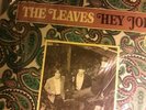 The Leaves Hey Joe Mira 3005  progressive rock