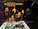 TOPS 1966 ORIG IN SHRINK   THE ANIMALS   ANIMALISM Garage ZAPPA R&B BEAT BURDON