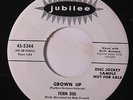 FERN DEE: Grown Up / A Boy Meets A Girl 45 (dj) Oldies