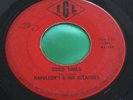Hear Rare Garage 45 : Napoleon I & His Relatives   Summer Love   Good Times- IGL