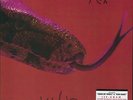 Killer [VINYL], 0081227971670, Alice Cooper