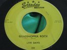 Rare Rockabilly 45 : Link Davis   Grasshopper Rock   Sixteen Candles   Starday