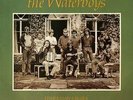 Fisherman's Blues - Waterboys (2015, Vinyl NEW)