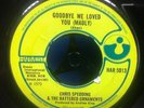 Chris Spedding & The Battered Ornaments - Goodbye We Loved You (Madly)