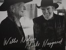 Willie / Haggard,Merle Nelson - Django & Jimmie [Vinyl New]