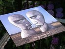 Pink Floyd ?– The Division Bell UK REPRESS  LP   TOP MINT