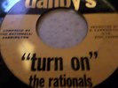 THE RATIONALS  TURN ON  DANBYS GARAGE ROCK  DETROIT VG+