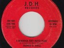 Modern Soul/Funk Boogie 45 - James D. Hall - I Wanna Get Into You - J.D.H. - mp3