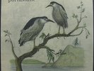 PORTASTATIC Slow Note From A Sinking Ship 1995 US Merge LP Indie SUPERCHUNK