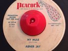 Outsider R&B Popcorn 45 ABNER JAY My Mule PEACOCK VG/VG+ His First PROMO