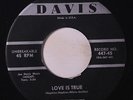 CHESTNUTS: Love Is True / It's You I Love 45 Vocal Groups