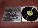 MICHAEL CHAPMAN  FULLY QUALIFIED SURVIVOR  VINYL LP.EX.UK 1ST PRESS.NO EMI BOX.