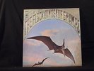 The Flock - Dinosaur Swamps