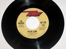 Frank Zappa Mothers of Invention I'm The Slime/Montana 45 Orig 1973 Discreet