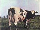 Pink Floyd-Atom Heart Mother-Mobile Fidelity 202-200G SEALED NUMBERED RARE