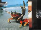 PRODIGY   The Fat Of The Land   2 x VINYL LP