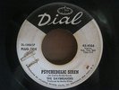 The Daybreakers  Psychedelic Siren  Dial 4066   PROMO  RARE Psych 45