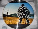 PINK FLOYD - DELICATE SOUND OF THUNDER - LP PICTURE DISC - BRAZIL - 