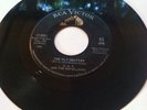 DDT The Repellents rare psych garage Surf 45 RCA 47-8064 Fly Swatter Bee Side