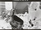 BLEACH [Vinyl] Vinyl