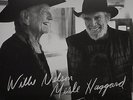 WILLIE NELSON & MERLE HAGGARD - DJANGO AND JIMMIE - VINYL 2LP LP - NEUF
