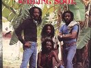 Wailing Souls - Best Of Wailing Soul - Hitbound LP 33T Roots Reggae NM MP3