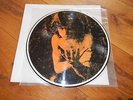 The Doors - Prelude to Darkness Pic LP RAR Vinyl  nm