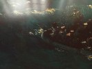 RETRO THE AVALANCHES SINCE I LEFT YOU RARE VINYL ALBUM XLLP138 DAMONT