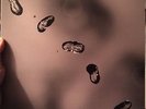 PETER GABRIEL UP 200 GRAM 2 LP RECORD VINYL Original Issue Gatefold SO