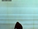 FOALS - WHAT WENT DOWN  VINYL LP NEW+