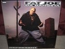 FAT JOE DA GANGSTA represent 1993 VINYL LP