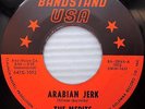 MERITS Arabian Jerk Please Please Little Girl SOUL GARAGE 45 e62 HEAR Drum BREAK
