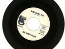 THE GREEN BEANS WLP KNOCK ON MY DOOR WHO NEEDS YOU MIKE CURB DAVIE ALLAN 45