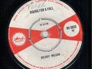 DELROY WILOSN - GOT TO CHANGE YOUR WAYS / RIDING FOR A FALL - ISLAND