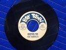 The Vandells-Hunters Fox/American Eagle garage psych soul 45 California