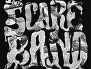 Acid Acetate Excursion/Rape of [12 inch Analog] Jpt Scare Band LP Record