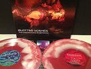 BLOTTED SCIENCE - The Machinations Of Dementia vinyl lp cannibal corpse exivious