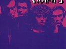 THE CRAMPS Hot Club Philadelphia Nov. '77 LP . garage rockabilly poison ivy lux