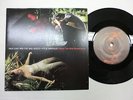 NICK CAVE AND THE BAD SEEDS + KYLIE MINOGUE Where Wild Roses Grow 7