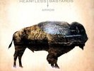 Arrow  (Lp) - Heartless Bastards (2012, Vinyl NEW)