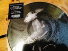 KATE BUSH - PICTURE DISCS RUNNING UP THAT HILL & KING OF THE MOUNTAIN - MINT